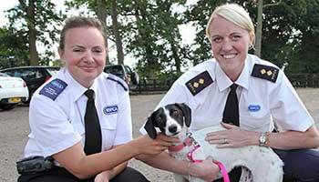 RSPCA Inspectors with rescue dog