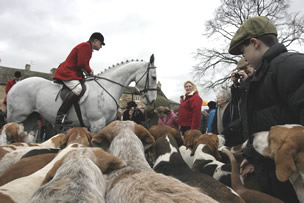 Help us to prevent cruelty