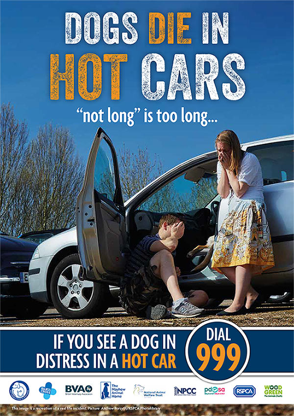 Dogs DIE in hot cars