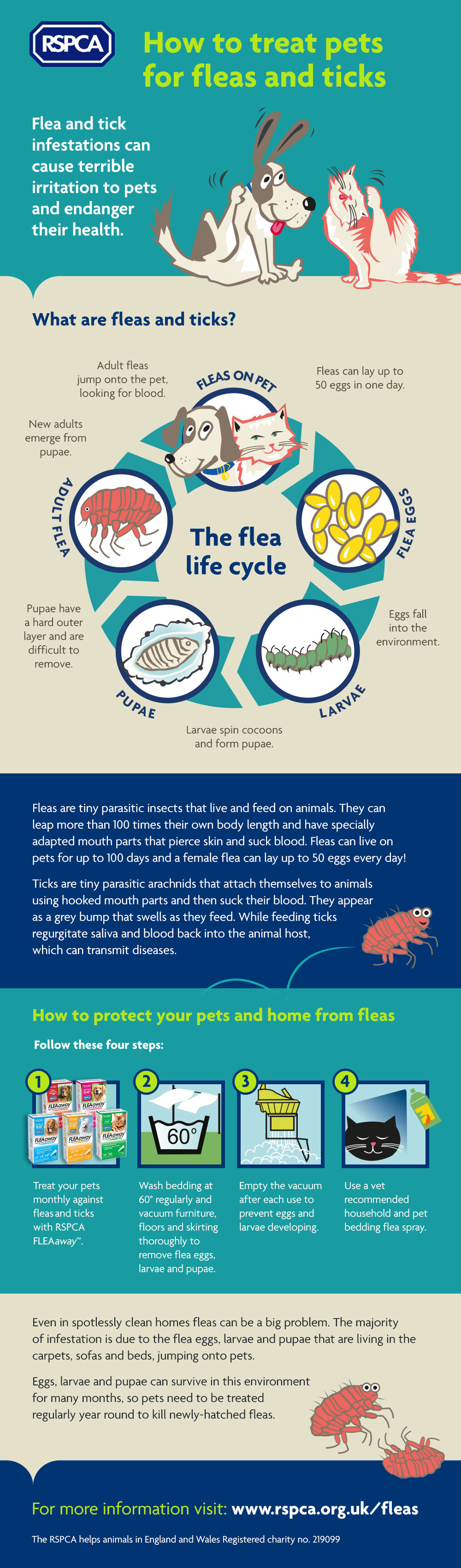 rspca flea treatment for dogs