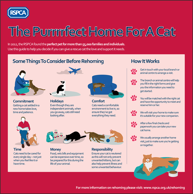 How To Rehome Adopting A Rescued Animal Rehoming Adoption how-to-rehome-adopting-a-rescued-animal-rehoming-adoption