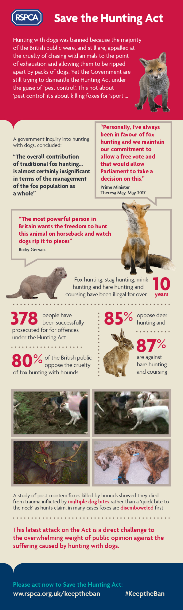 Save the hunting act Infographic