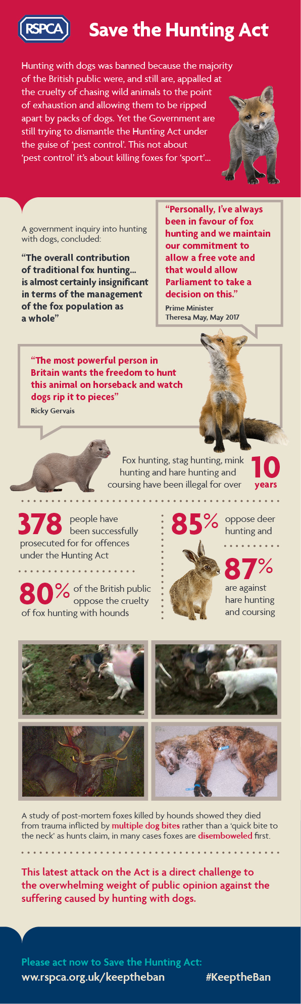 Animals reasons for hunting