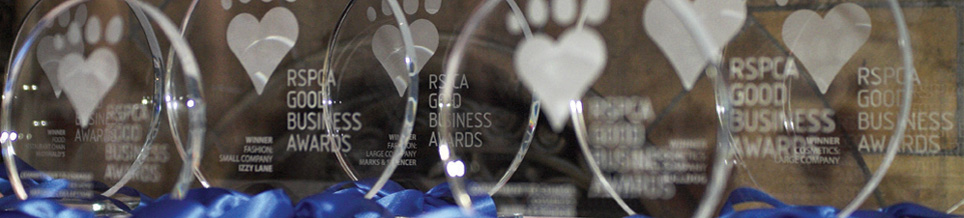 Banner Banner