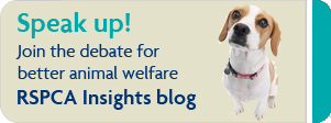 Join the debate for better animal welfare RSPCA Insights © RSPCA
