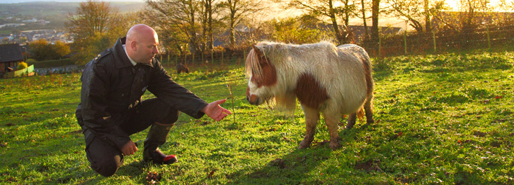 Inspector checking on horse in field © RSPCA photolibrary Inspector checking on horse in field © RSPCA photolibrary