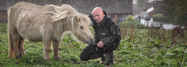RSPCA Inspector checking on the condition of a Shetland pony © RSPCA photolibrary