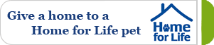 Give a home to a Home for Life pet © RSPCA