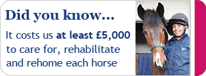 Your support means we can rescue more horses like Polly. Please donate online © RSPCA