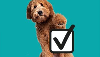 dog and tick checkbox promotional image © RSPCA