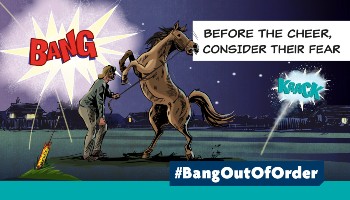 rspca bang out of order campaign graphic © RSPCA