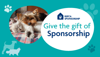 give the gift of sponsorship poster © RSPCA