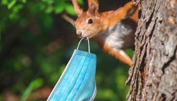 The impact of litter on wildlife © Chris Packham, Keep Britain Tidy