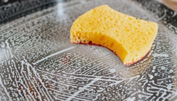 household sponge  cleaning work-surface © Pille R Priske, Unsplash/RSPCA