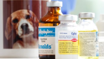 Mug showing picture of beagle dog and selection of medicine bottles