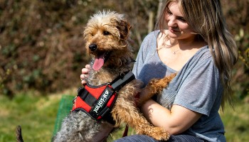 terrier cross breed being cuddled by woman outside © RSPCA