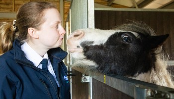 Horse lifting face over stable door to greet woman © RSPCA