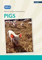 RSPCA welfare standards for pigs - RSPCA