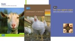 A selection of farm animals information resources © RSPCA