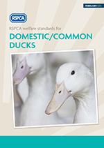 Ducks welfare standards 2015 © RSPCA