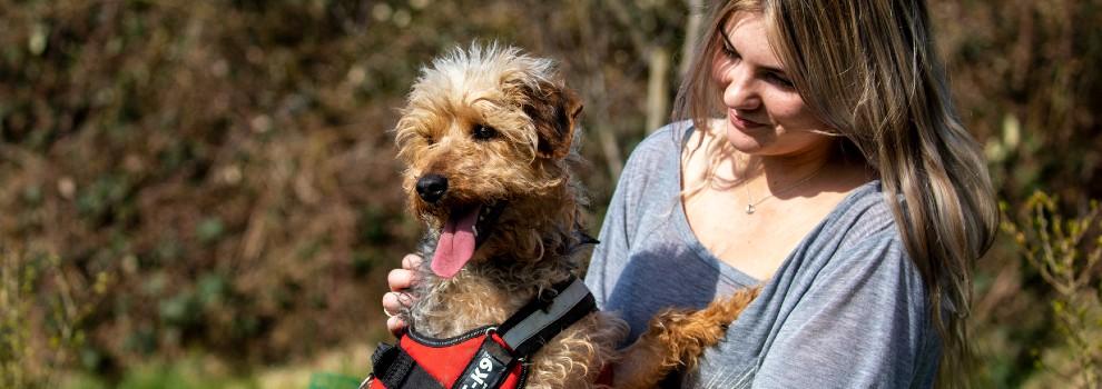 terrier cross breed being cuddled by woman outside © RSPCA