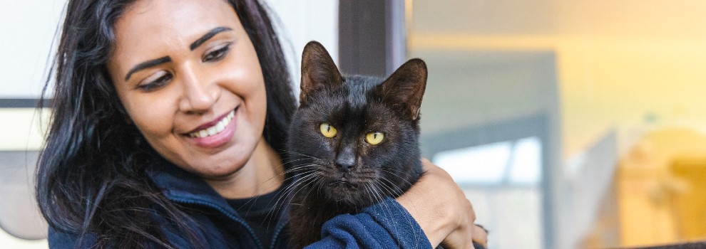 Volunteering with Animals Information | RSPCA Volunteering with Animals Information | RSPCA