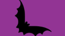 Bat graphic