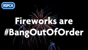 rspca fireworks