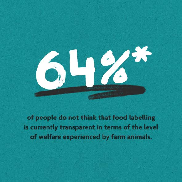 Infographic
