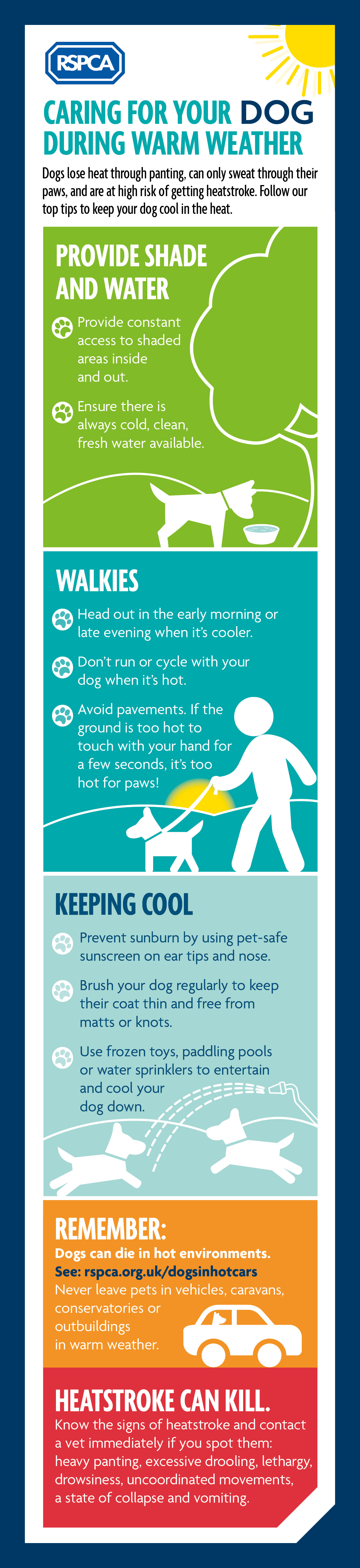 dogs and hot weather