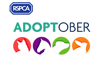 RSPCA Adoptober