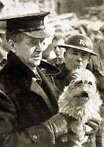 RSPCA inspector holding terrier after rescuing from a bomb site circa 1940 © RSPCA Photolibrary