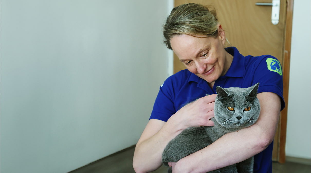 An RSPCA worker in a blue t-shirt looking down at Benito who they are holding in their arms.