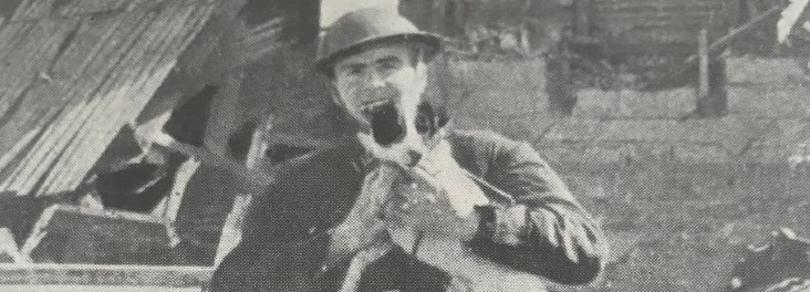 How we helped animals during the First World War - RSPCA