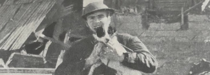 ww1 dog