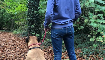 John Woods dog trainer rspca blog for nervous dogs