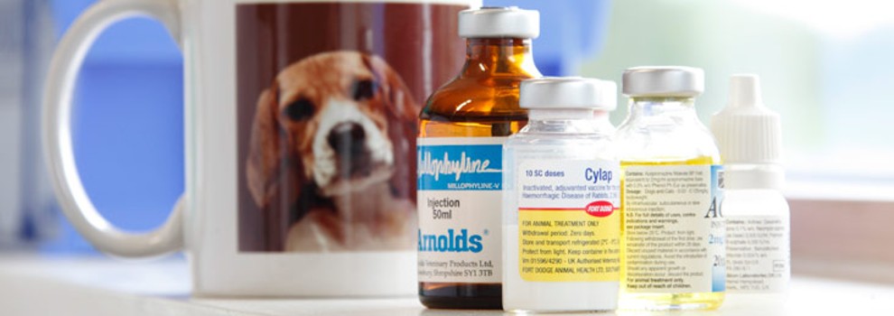 Animal Use in Medicine & Vaccine Trials | RSPCA Animal Use in Medicine & Vaccine Trials | RSPCA