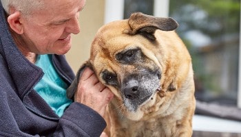 Molly Moo and John © RSPCA
