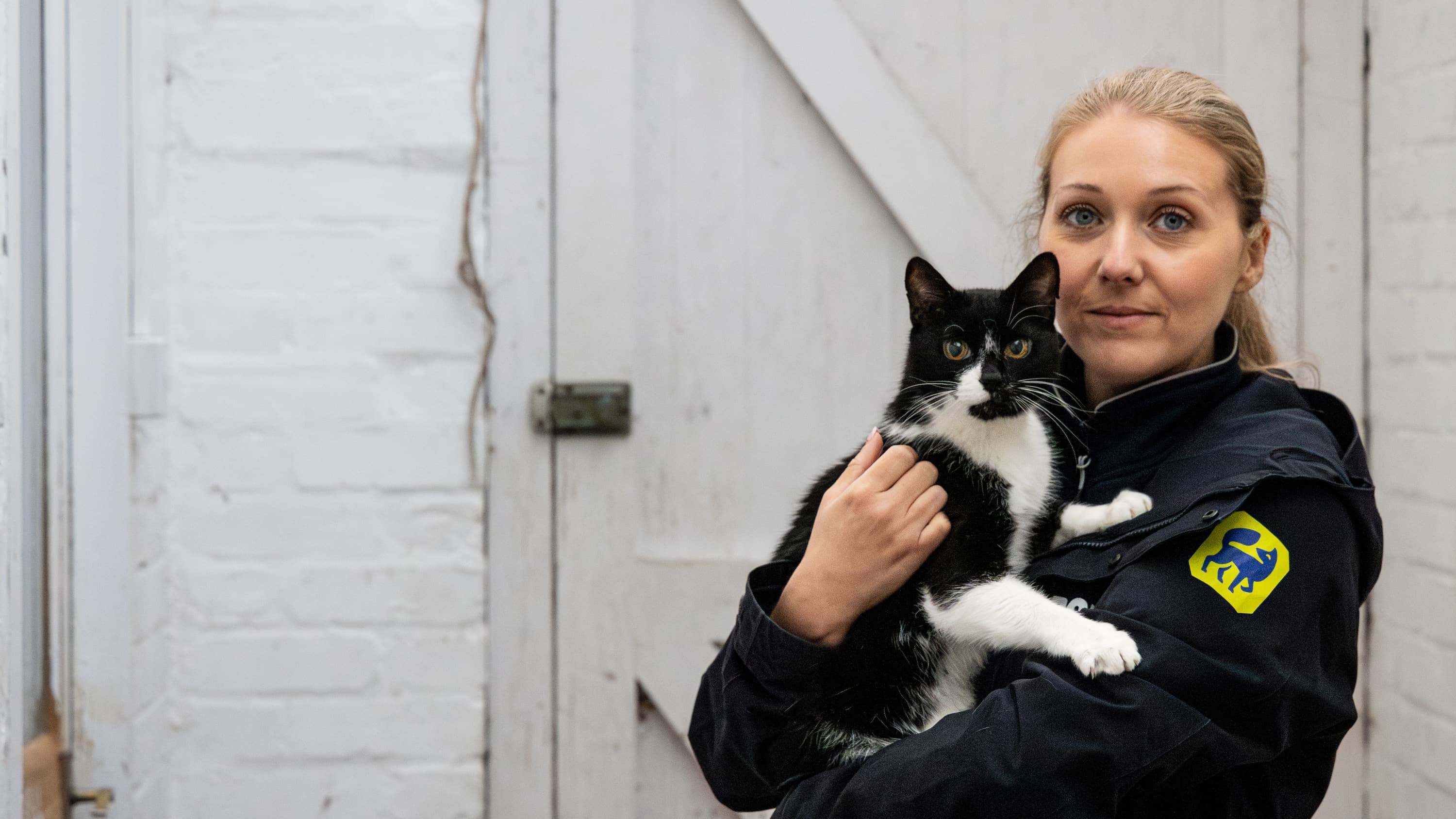 Animal rescue officer holding a cat in her arms
