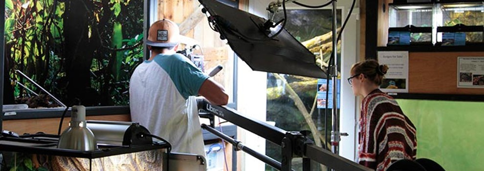 film production filming a corn snake in vivarium © RSPCA
