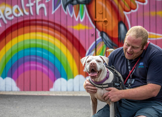 Pet Insurance - Get a Quote | RSPCA Pet Insurance - Get a Quote | RSPCA