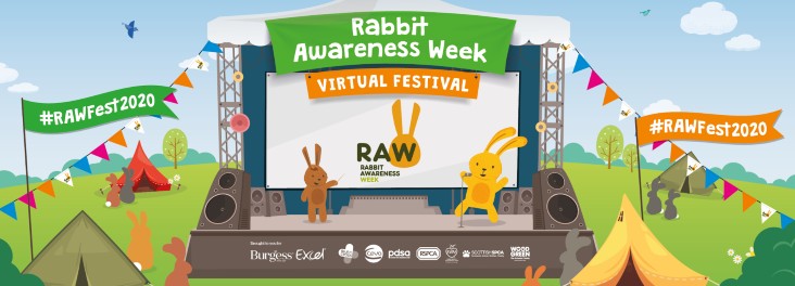 Rabbit awareness week virtual