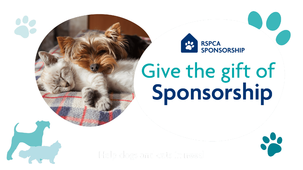 Sponsor as a gift - change to Give RSPCA Sponsorship As A Gift