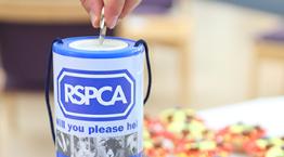 RSPCA collection tin