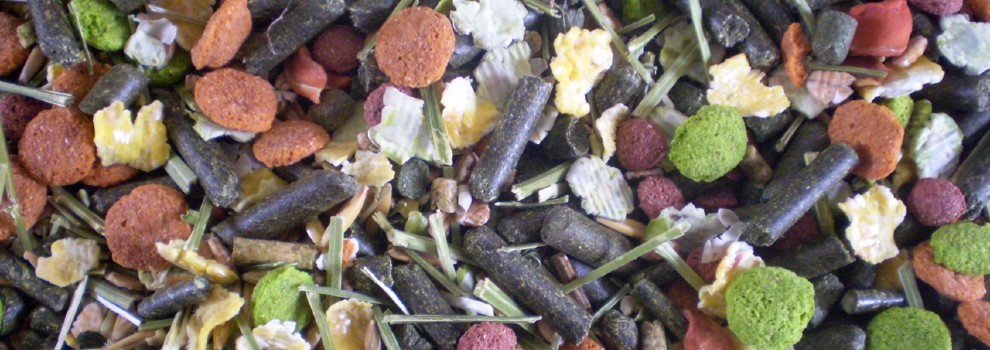 close-up of rabbit muesli ingredients © RSPCA