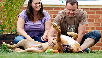 couple playing with their newly rehomed dog in the garden