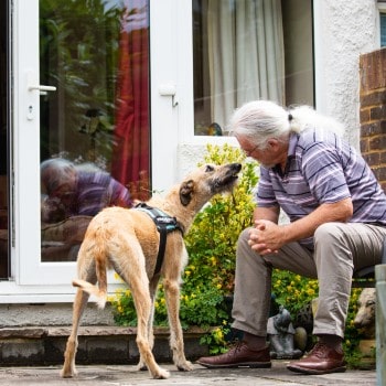 Steve and Graham © RSPCA