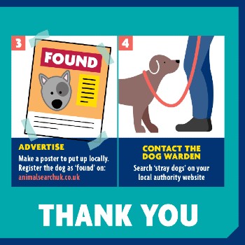 How to help a stray dog © RSPCA