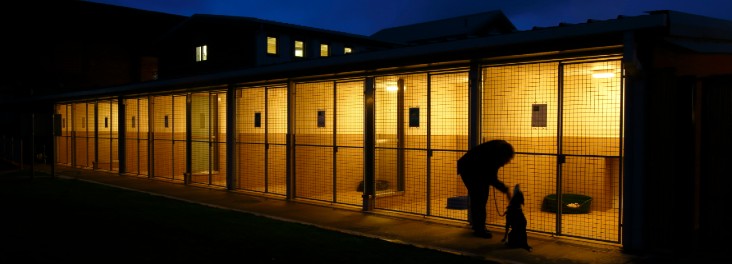 birmingham rspca