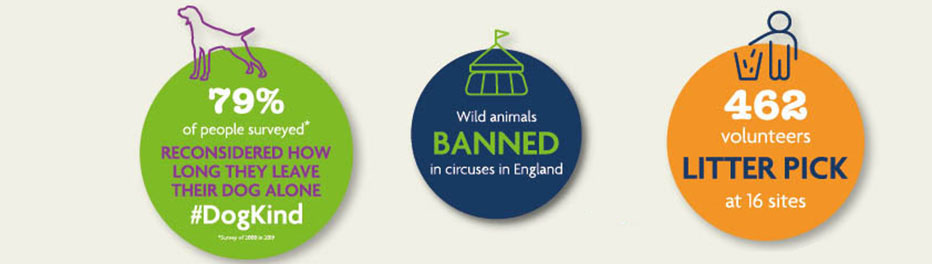 campaign successes 2019 rspca